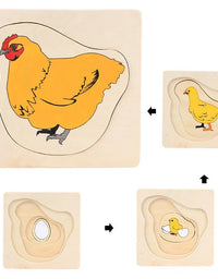 Montessori Man Woman Growth Puzzles Wooden Toys Caterpillar Frog Sunflower Growth Process Puzzle Educational Toys For Children
