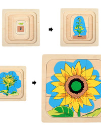 Montessori Man Woman Growth Puzzles Wooden Toys Caterpillar Frog Sunflower Growth Process Puzzle Educational Toys For Children
